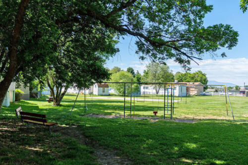 A grassy area with a bench and a swing set.